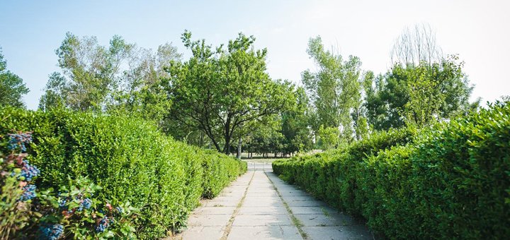Скидки на отдых в санатории Куяльник в Одессе23