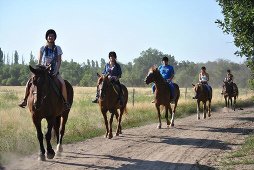 Верхові прогулянки на природі