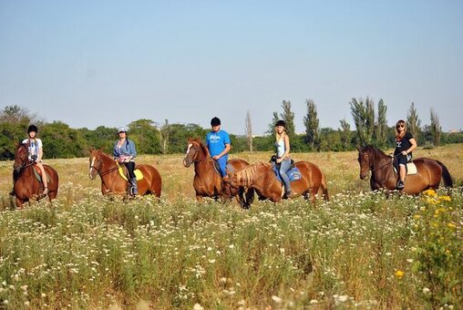 Прогулянка на коні зі знижкою