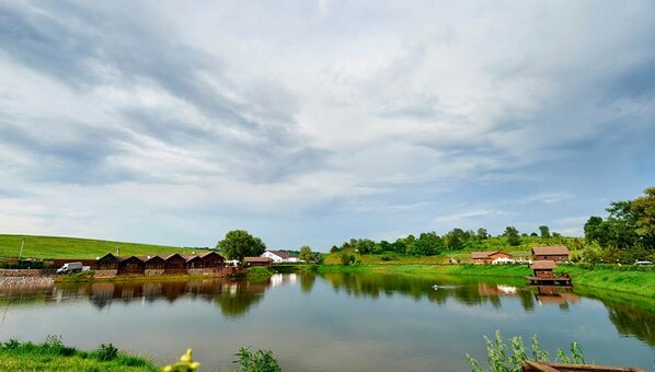 Equestrian club, hotel Equides Club in Lesniki 8