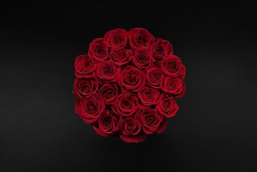 Bouquet of red roses «The Wild Rose». Order with a discount.