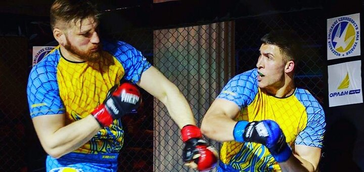 "Greka MMA" - a sports club in Kiev at a discount