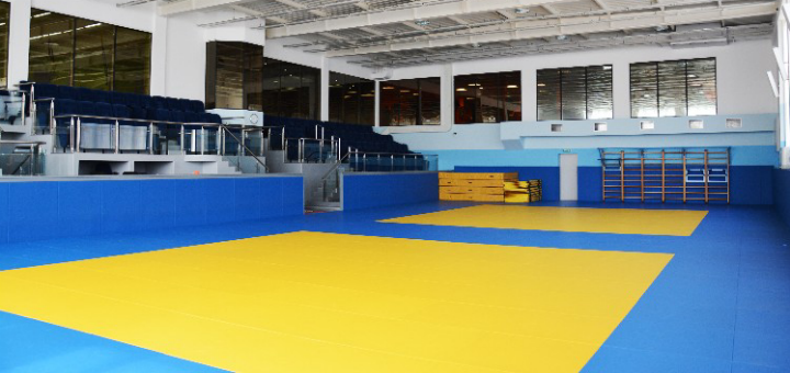 Martial arts in the sports club "Tiger" in Odessa. Sign up for stock judo classes.