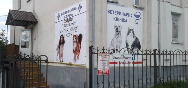 Недорого «Ветлечебница на Ярослава Мудрого»