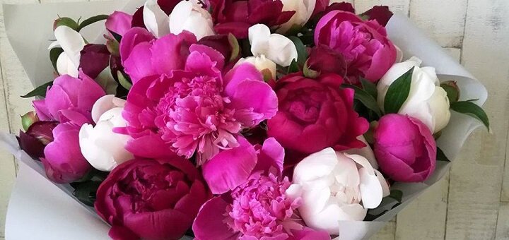 Delivery of bouquets df.ua, promotions
