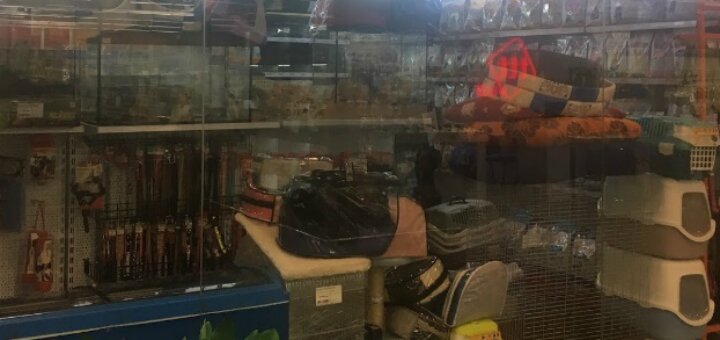 Акции зоомагазин «Зооуголок на Броварском проспекте»
