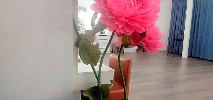 Beauty lab Irina Beskrovnaya in Dnipro, promotions