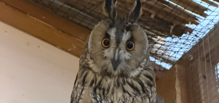 Зоопарк City Zoo в Одессе, скидка на посещение
