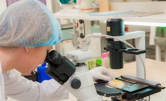 Medical laboratory Accurate diagnosis dnepr discount 6