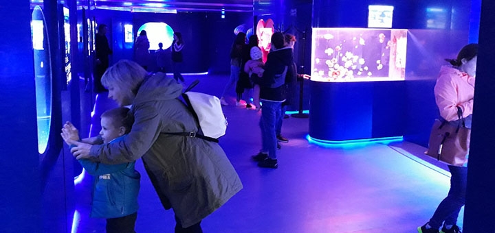 Jellyfish Museum in Kyiv, discounts