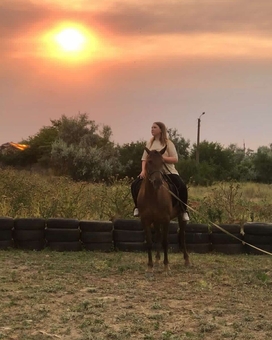 Конный клуб Horsecamp 2