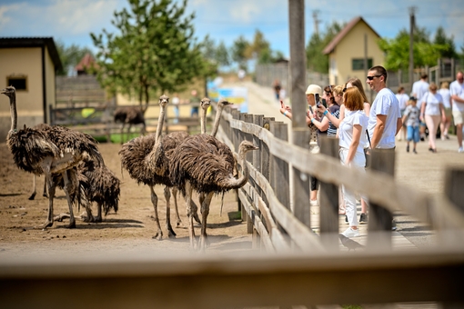 Yasnogorodka Family Ecopark, Zoo