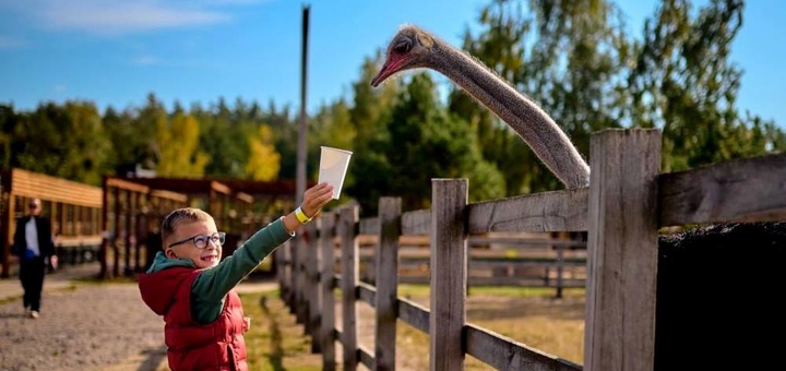 Yasnogorodka Family Ecopark. Ostrich farm