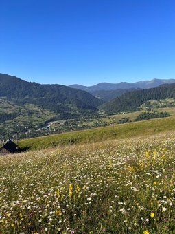 Krasnyk Hills у Карпатах