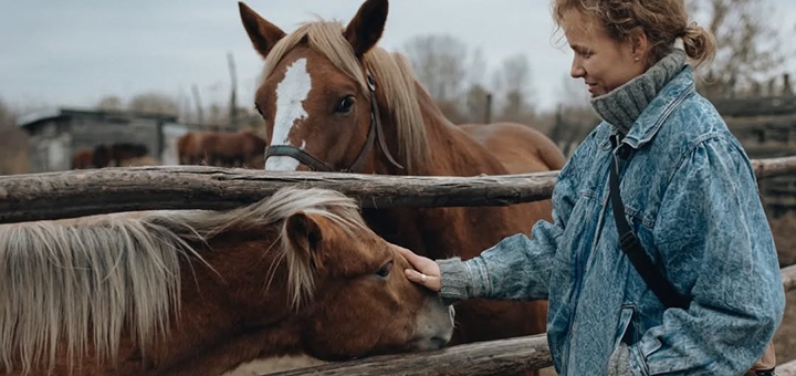 Svoboda Equestrian Center. Visit with a special offer of 4.