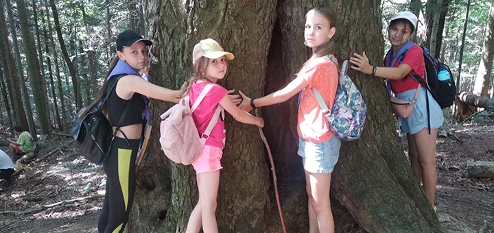 Big Game Children's Camp. Visit with a special offer of 34.