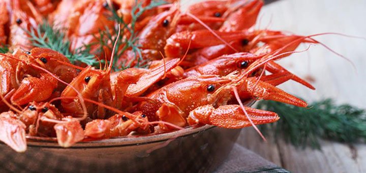 Delivery of live crayfish «Crayfish» across Kiev and Kiev region. Buy crayfish for a promotion.