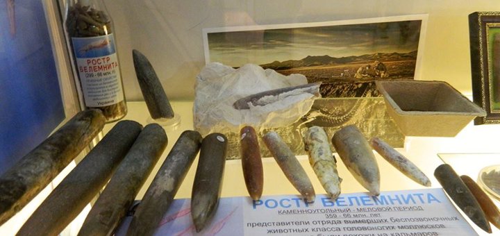 Клуб палеонтологии «Paleomax» со скидками на билеты в Киеве 2