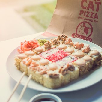 The network of pizzerias "Mister Cat". Menu discounts