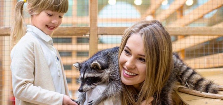 Zootopia petting zoo in Kyiv