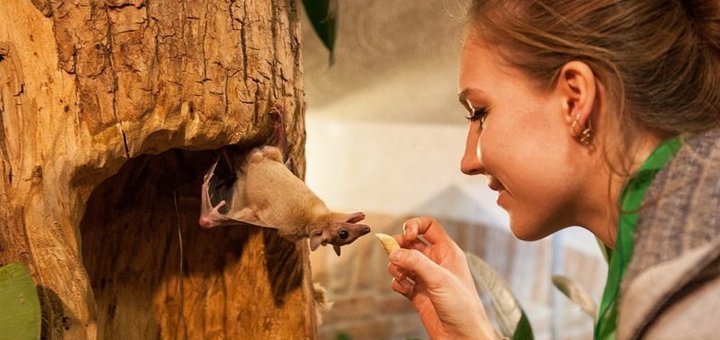 Discounts and promotions at the &quot;touching zoo&quot;