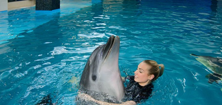 Discount for visiting the nemo dolphinarium in odessa